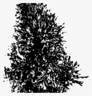 Pine Tree Clipart Star Silhouette - White Pine Tree Vector