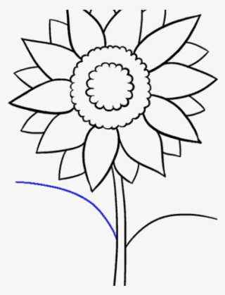 Drawn Sun Flower - Sunflower Drawing Png