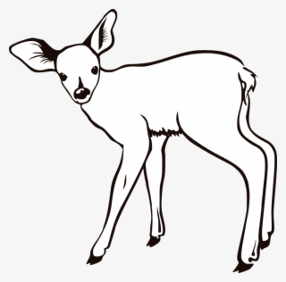 Fawn Outline
