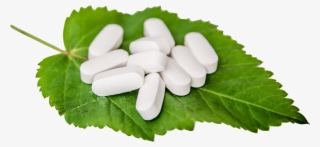 White Pills On A Leaf Png Image - L Cysteine Market Research