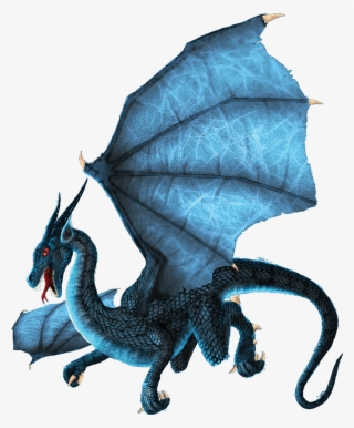 Choose An Option Below - Dragon
