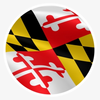 State Of Telehealth Maryland Profile - Graphic Design