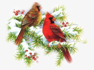 Cardinal Clipart Christmas - Png Christmas Cardinal