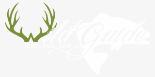 Wild Guide - Calligraphy