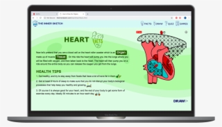 Innner Sketch Heart Facts