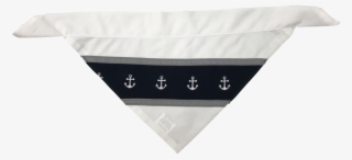 Reflective Dog Bandana - Underpants