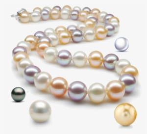 Pearl Necklace Designs Pictures - Pearl Jewellery Necklace Png
