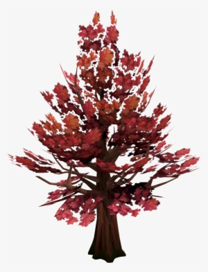 Transparent Tree Maple - Maple Tree Png