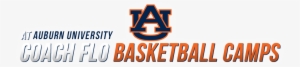 Auburn Women's Basketball - Auburn Tigers Wall Decal Home Decor Art Ncaa Team Sticker