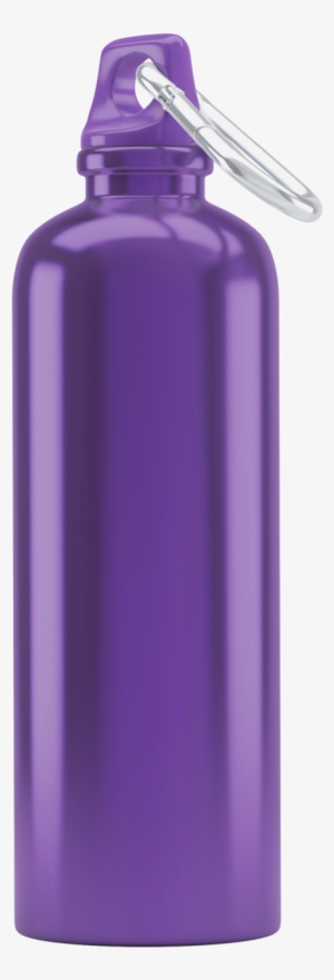 Grape Water Bottle 5 X 5 - Water Bottle