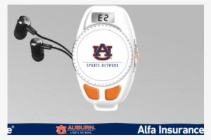 Auburn