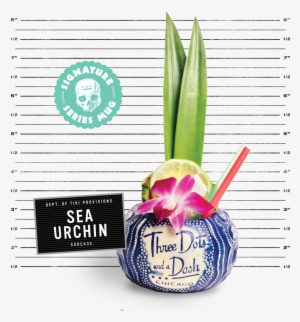 Navy Sea Urchin - Sea Urchin