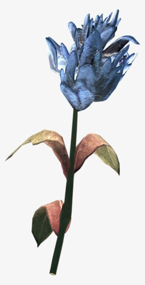 Blue Mountain Flower - Skyrim Mountain Flower
