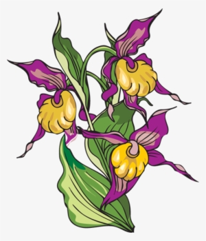 Iris Flower Clipart - Clip Art