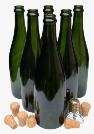 Pack Of 6 Champagne Bottles With Traditional Corks - Sparkling Wine Cork Homebrewing