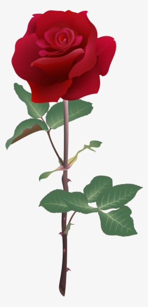 Rubyrose@2x - Rose Vector Art