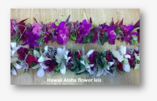 Hawaii's State Nickname Is The Aloha State - Bougainvillea