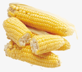 Download Corn Png Images Background - Кукуруза Png