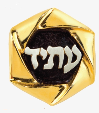 2018 2021 Torah Fund Pin - Ring