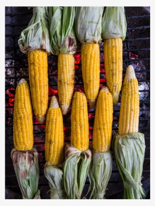 Corn On The Bbq ©aico Lind Web - Corn Kernels