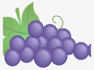 Grape Clipart First Communion - First Communion