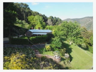 Hills Estate In Stunning Landscape Near City - Tree