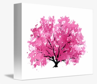Magnolia Tree Png - Cherry Blossom