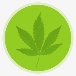 Your Go-to Source For Medical Marijuana In Southern - Sticker