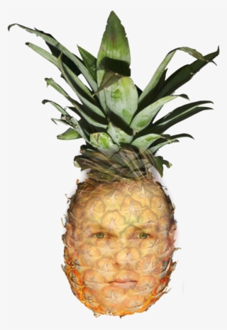 Something That Siri Would've Done - Ginger Pineapple