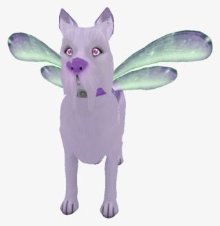 Pixie Yorkie - Mouse
