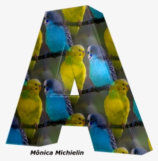 Alfabeto Periquito Australiano Png - Blue And Yellow Birds