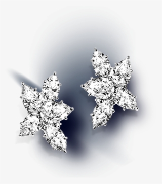 A Pair Of The Iconic Winston Cluster Earrings - Cluster Earrings Diamonds Harry Winston