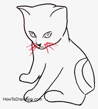 How To Draw A Cat Sitting Down Step By Step - Cats Step By Step