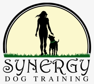 synergy dog training - silhouette