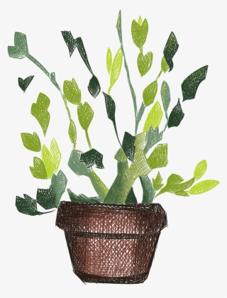 Hand Painted Plants Flowers Fresh Potted Png And Psd - Houseplant