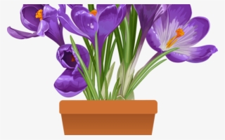 Clip Art Of Beautiful Plants For The Spring Garden - Spring Flower Pot Png
