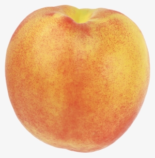 Peach Png Image - Peach With Transparent Backgrounds