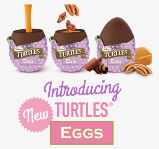 It's The Chocolate Easter Egg - Turtle Egg Chocolate