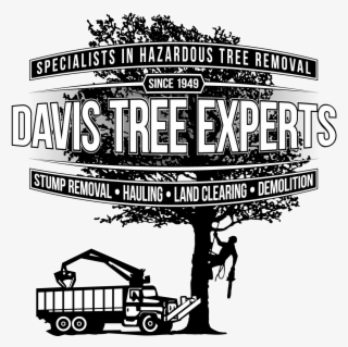 Davis Tree Experts - Illustration
