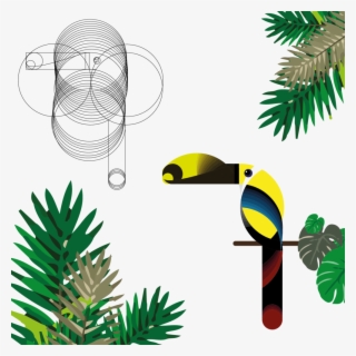 Tucan 3 08 08