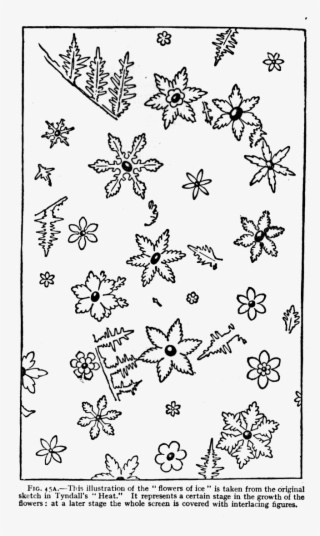 Fig - 45a - Illustration
