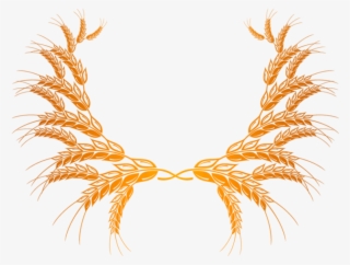 Wheat Vector Clipart - Колоски Пшеницы Пнг