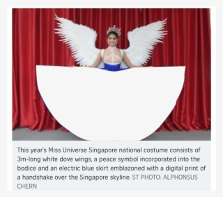 Png, Time To Meme - Miss Universe Singapore 2018