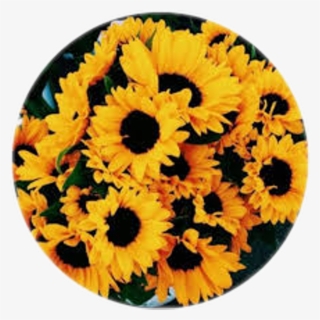 Flower Tumblr Fondo Flores Flor Vintage Fondocirculo - Yellow Aesthetic  Flowers Transparent PNG - 1024x1024 - Free Download on NicePNG