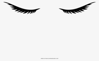 Eyelashes Coloring Page - Illustration