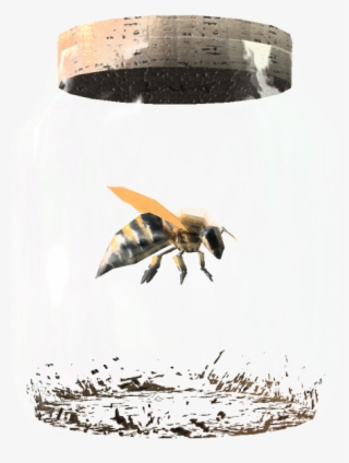 Elder Scrolls Fandom Powered By Wikia - Bee In A Jar