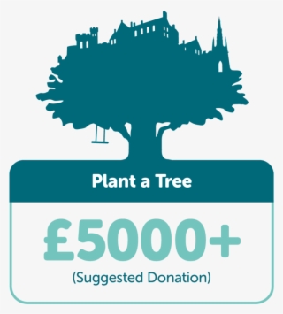 Donate Towards A New Tree Standard To Be Planted In - Tree Time