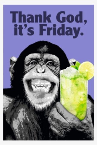 The Chimp Friday