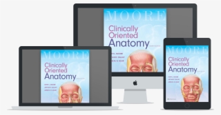 Online Advertising