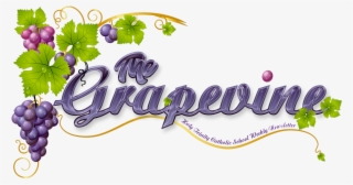 14 Nov,2018 - Grape Vine Clipart